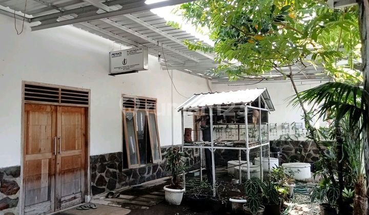 Rumah Besar Sidodadi Sidoarjo 2