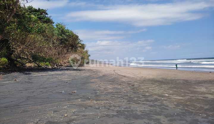 Tanah di Berada Di Kawasan Pekutatan., Jembrana 11