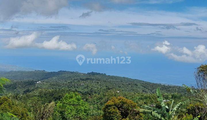 Tanah Kebun Bunga Dan Buah di Lokasi Asah Gobleg, Buleleng. 2