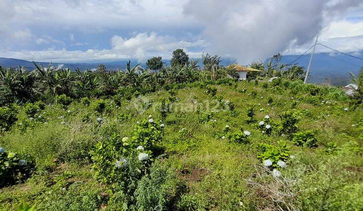 Tanah Kebun Bunga Dan Buah di Lokasi Asah Gobleg, Buleleng. 8