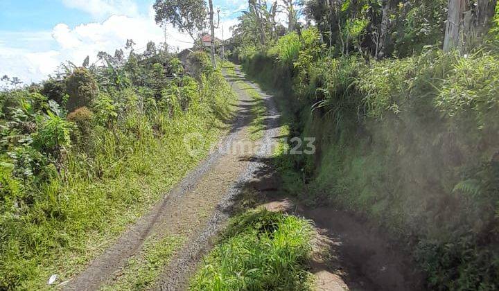 Tanah Kebun Bunga Dan Buah di Lokasi Asah Gobleg, Buleleng. 13