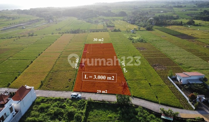 Exclusive 3000 m2 Land in Kelating, Tabanan