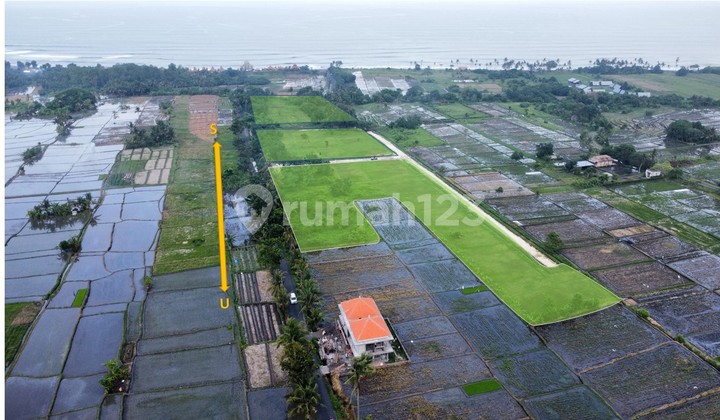 Kavling Eksklusif Kawasan Pangkung Tibah , Kediri,Tabanan,Bali Kavling Eksklusif Kawasan Pangkung Tibah , Kediri,Tabanan,Bali