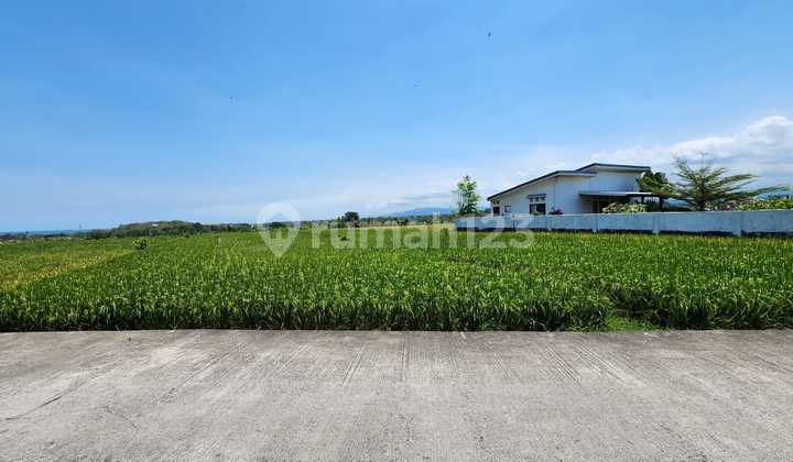 Exclusive 3000 m2 Land in Kelating, Tabanan