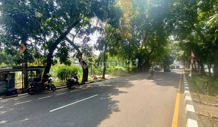 Disewakan Tanah di Jalan Pajajaran 2