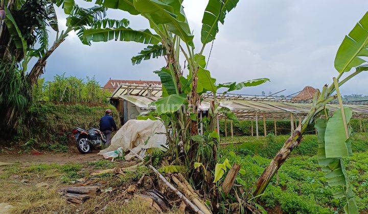 Dijual Tanah Murah Di Cipanas 3