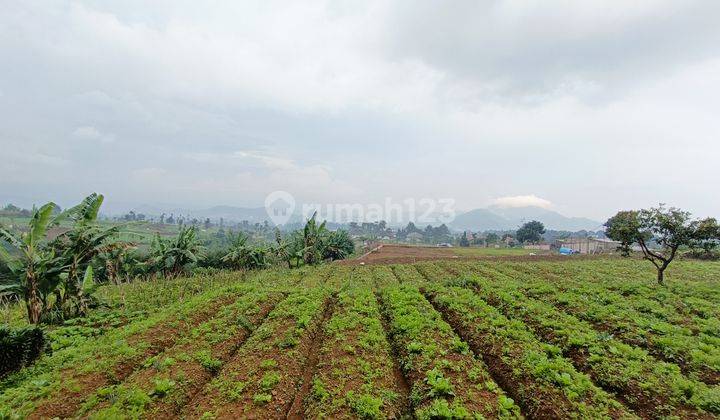 Dijual Tanah Murah Di Cipanas 9
