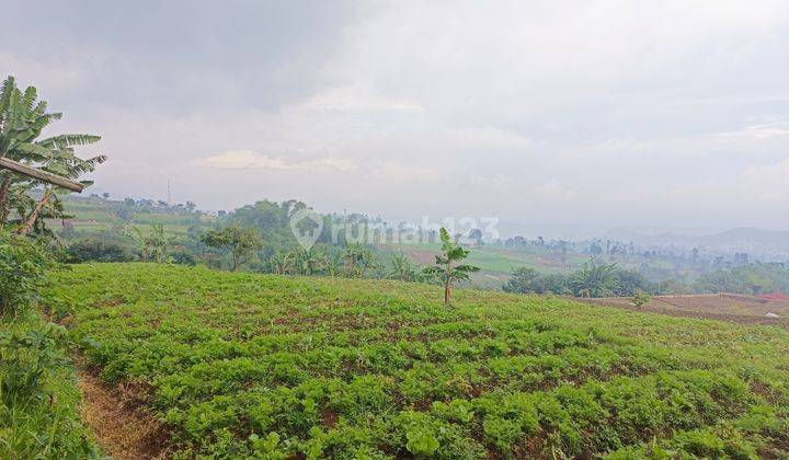 Dijual Tanah Murah Di Cipanas 10