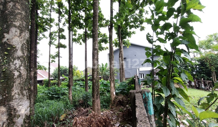 Dijual Tanah di Kedung Halang Talang Bogor 3
