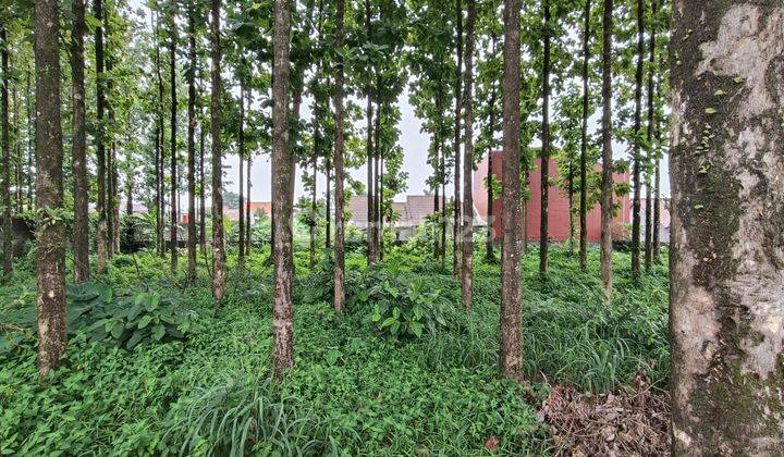 Dijual Tanah di Kedung Halang Talang Bogor 4
