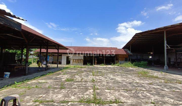 Disewakan Tanah di Jalan Pajajaran Bogor 10