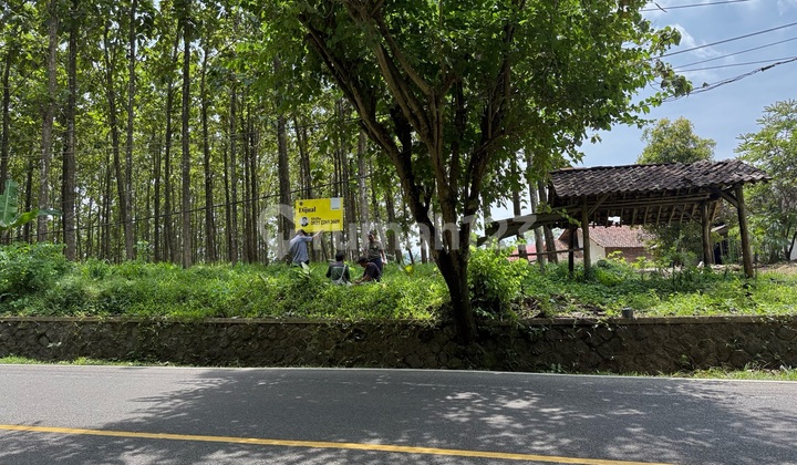 Dijual Tanah di Pelabuhan Ratu Sukabumi