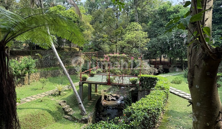 Villa For Sale In Bogor Villa For Sale In Bogor