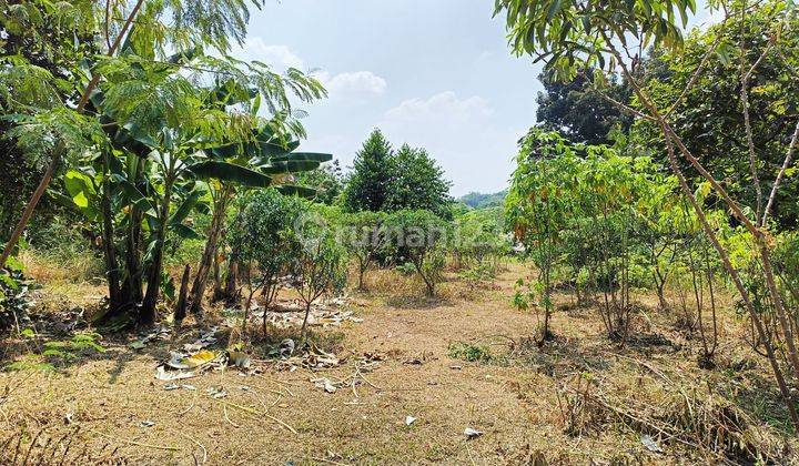 Dijual Tanah Di Pondok Rajek Cibinong 2