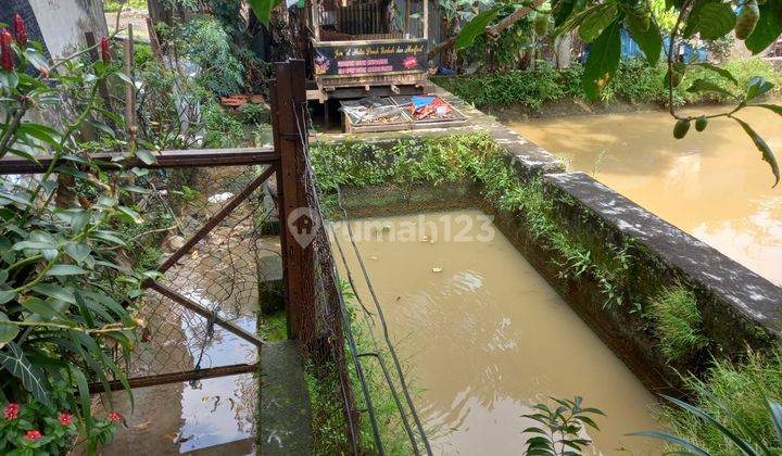 Rumah Lokasi Bagus di Jl Raya Bogor Ciluar 8