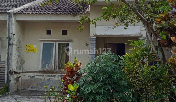 Rumah Murah di Dramaga Regency 2 8