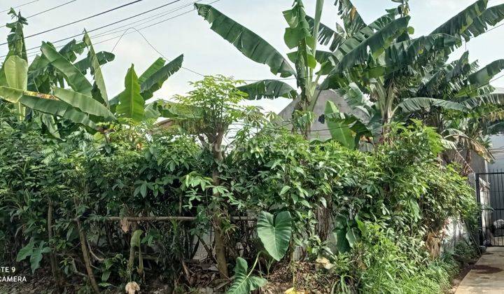 Tanah Hook di Baranangsiang Indah Bogor Timur 1