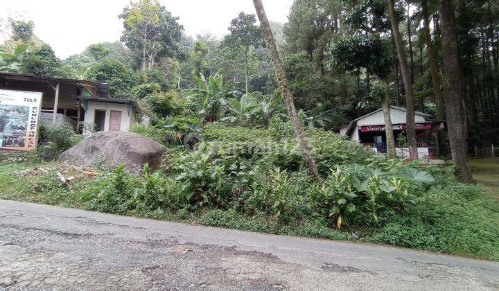 Tanah di Jl Gunung Pancar Babakan Madang 4
