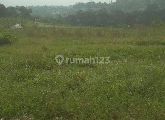 Tanah Murah di Daerah Tenjolaya Bogor 4