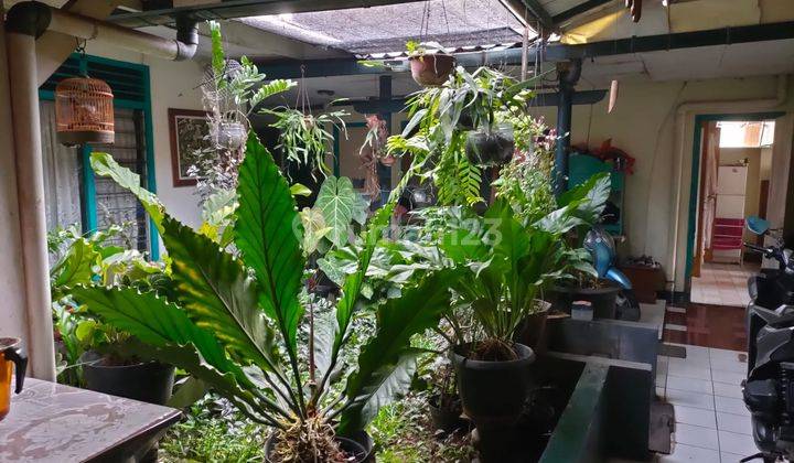 Dijual Rumah di Jl Tampomas Babakan Bogor Tengah 6