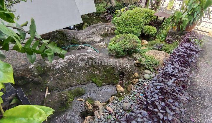Disewakan Rumah Tinggal di Bogor Baru di Jl Cikaso 10