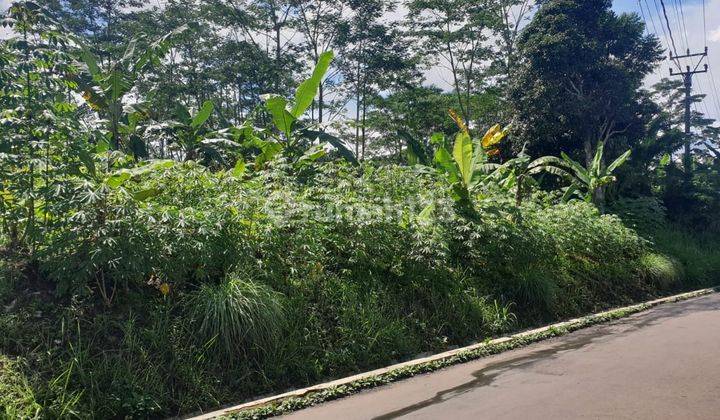 Dijual Tanah di Jl Kp Angkrong Parung Kuda Sukabumi 5