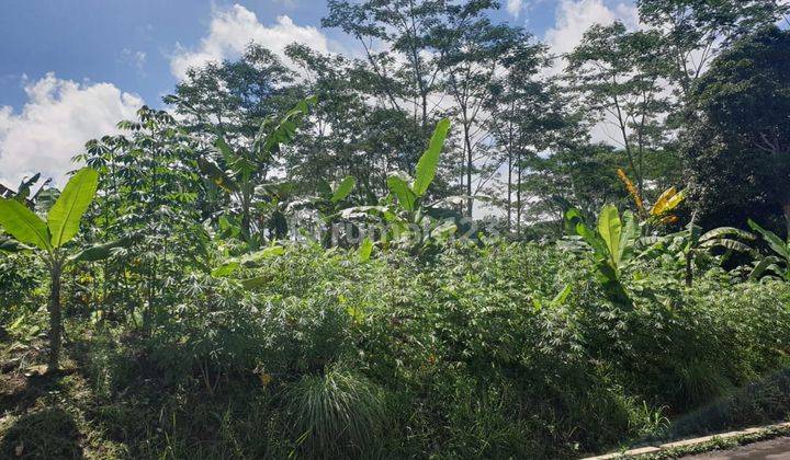 Dijual Tanah di Jl Kp Angkrong Parung Kuda Sukabumi 7