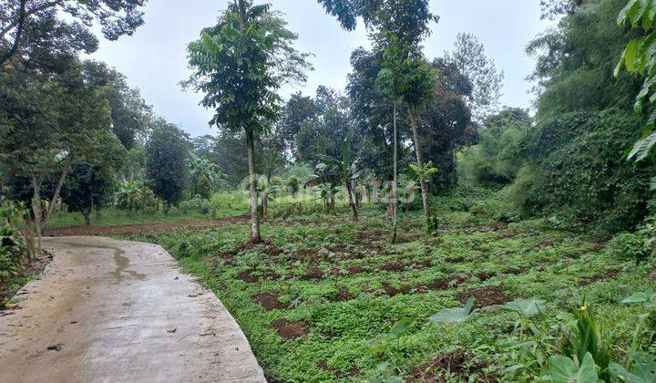 Dijual Kavling Lokasi Gadog Gunung Geulis Cisarua 1