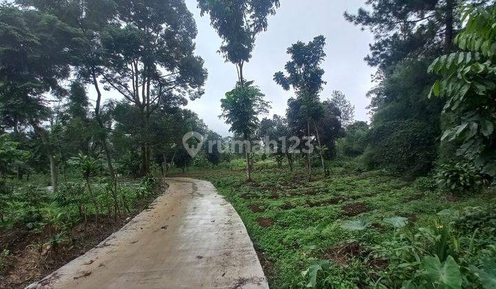 Dijual Kavling Lokasi Gadog Gunung Geulis Cisarua 2