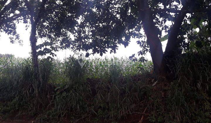 Kavling Lokasi Sangat Strategis di Tanah Baru Bogor Utara 2
