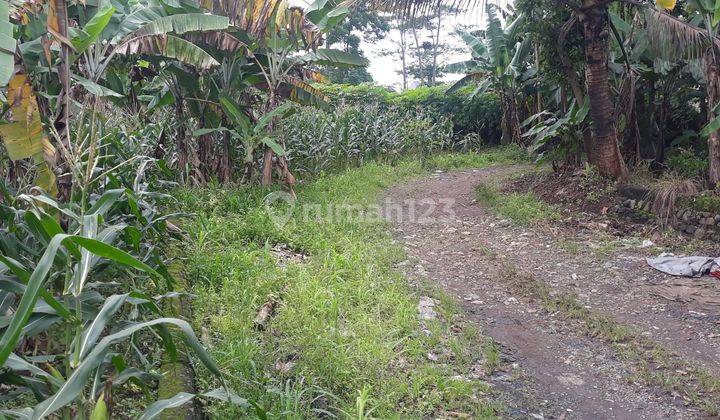 Kavling Lokasi Sangat Strategis di Tanah Baru Bogor Utara 6
