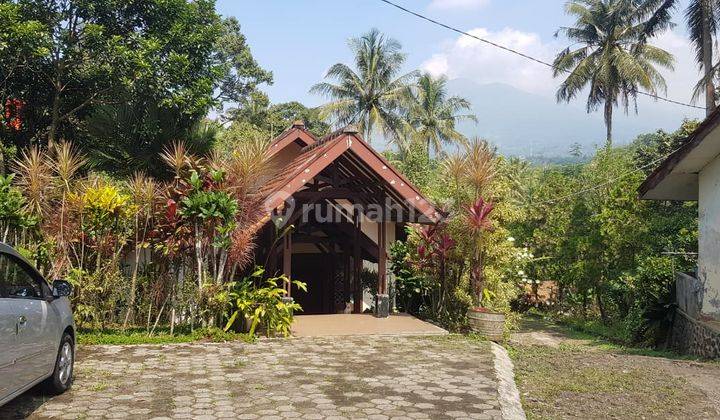 Rumah Dan Tanah di Jl Sumantadireja Cijeruk Bogor 2