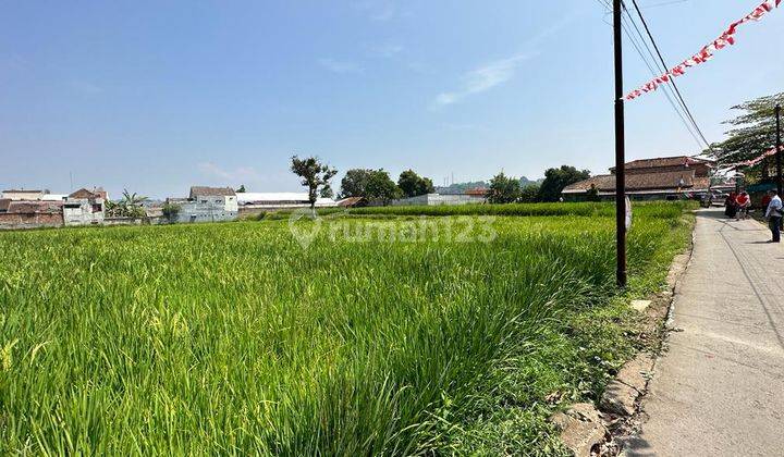 Kavling di Kp Sekarwangi Cibadak Sukabumi  1