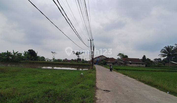  Kavling Desa Ciasihan Desa Salak Endah Pamijahan Cibungbulang  2