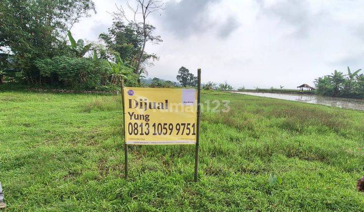  Kavling Desa Ciasihan Desa Salak Endah Pamijahan Cibungbulang  1