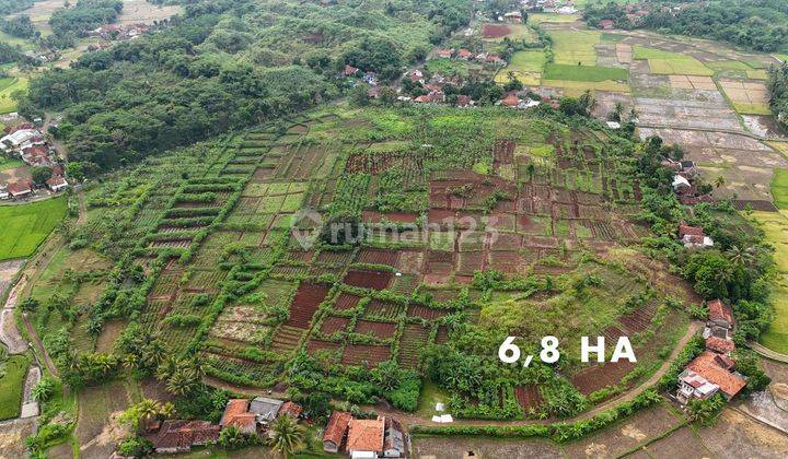 Tanah Dijual SHM 1 Ha Sampai 27 Ha di Cibinong Hilir Cianjur  1