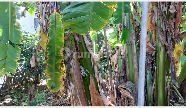 For Sale House on Jl Layungsari, South Bogor