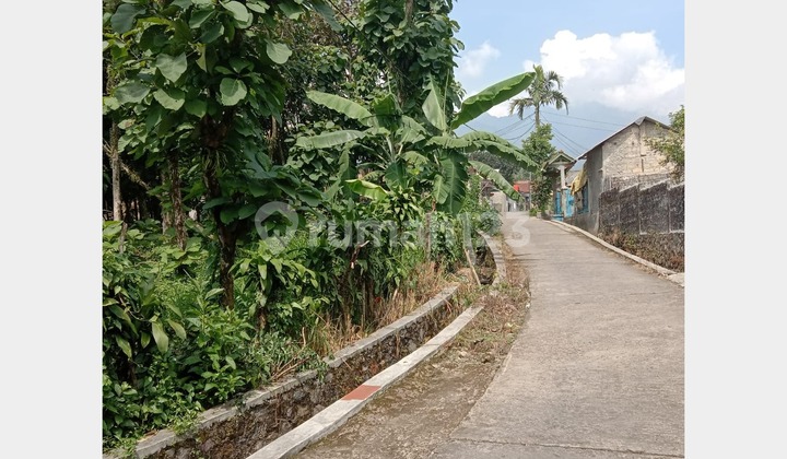 Dijual Lahan Pondok Bitung, Desa Suka Harja, Kec Cijeruk, Kab Bogor