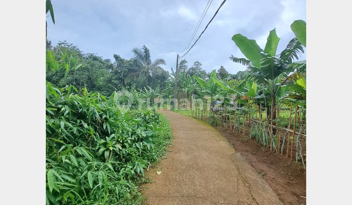 Garden Land for Sale in Sukaharja Village, Cijeruk