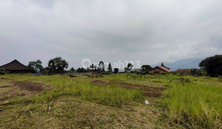 Dijual Lahan Bagus Untuk Villa Atau Wisma di Batulayang Cisarua 2