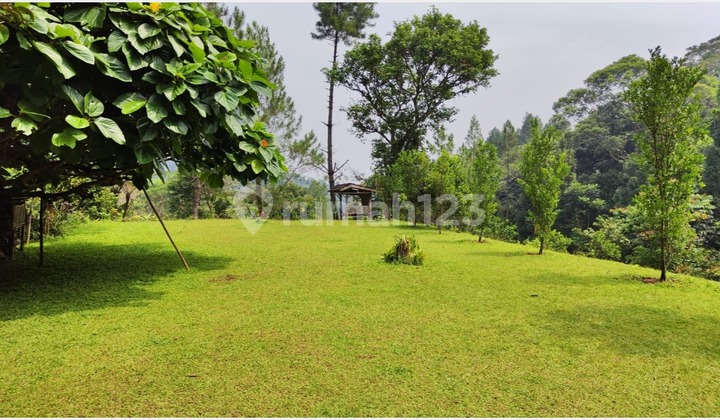  Dijual dan Sisewakan Kavling di Tapos KP Leuweng Larangan Pancawati Caringin