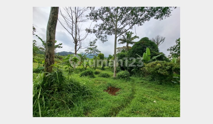 Garden Land for Sale in Sukaharja Village, Cijeruk