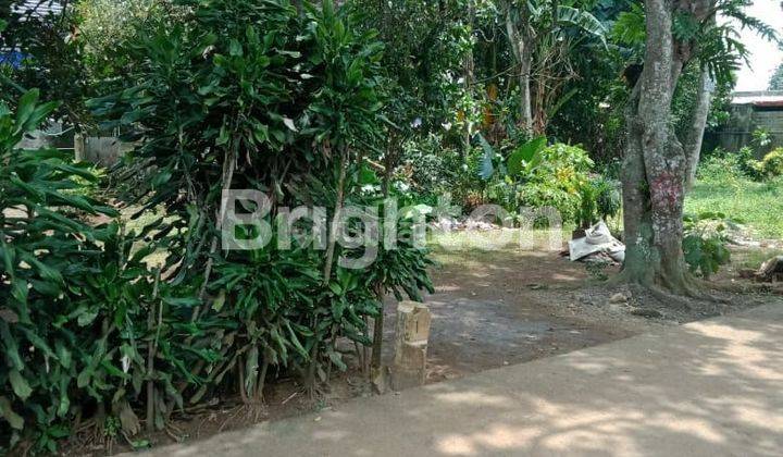 Tanah di jalan Pedurenan gunung Sindur kabupaten Bogor 2