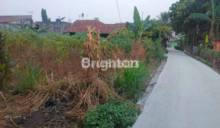 Tanah lahan kosong di kawasan desa Cijujung kecamatan Sukaraja kabupaten Bogor  2