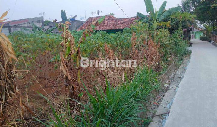 Tanah lahan kosong di kawasan desa Cijujung kecamatan Sukaraja kabupaten Bogor  1