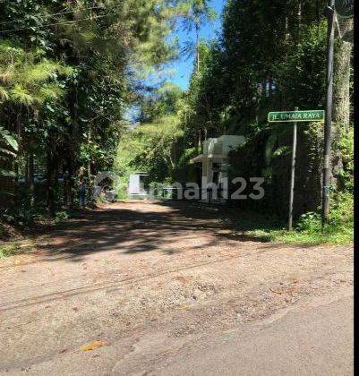 Tanah Luas Cocok Untuk Villa Rumah Tinggal Sayap Dago Bandung 3