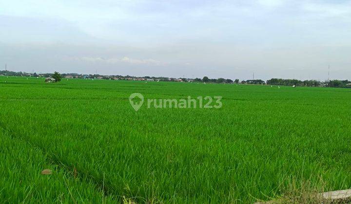 Tanah 3.815 m² Cocok Untuk Investasi Karawang Barat, Karawang 1