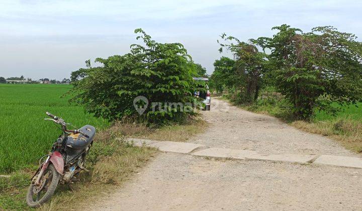 Tanah 3.815 m² Cocok Untuk Investasi Karawang Barat, Karawang 2