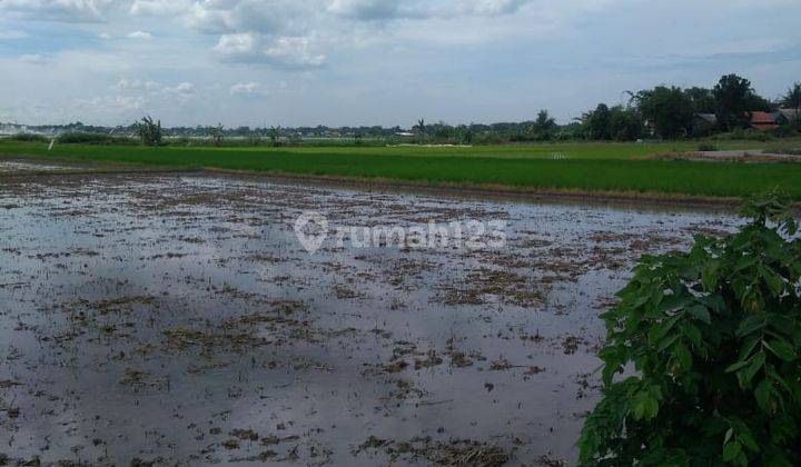 Tanah Sawah 4.174 m² SHM Harga Murah Telukjambe Timur, Karawang 1