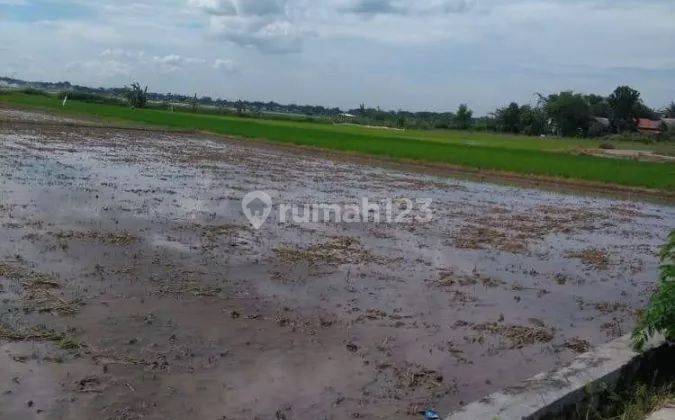 Tanah Sawah 4.174 m² SHM Harga Murah Telukjambe Timur, Karawang 5